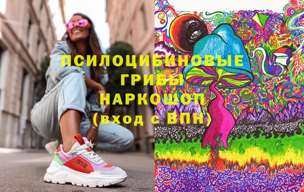 гашик Белокуриха