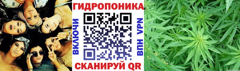 Канабис конопля  Купить где  Курганинск 